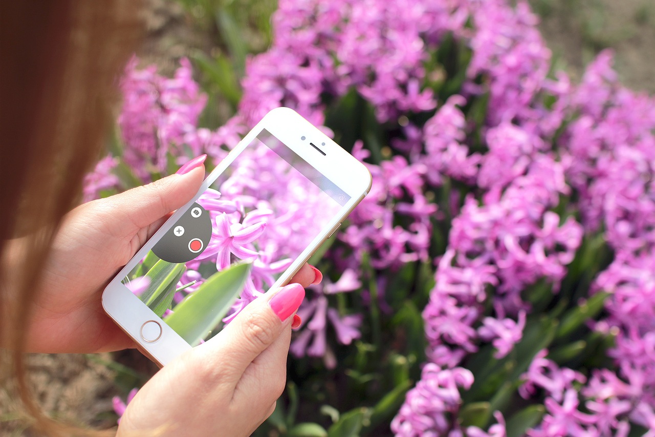 mobilfoto av blomster