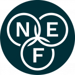 NEF-fav_icon-elementor