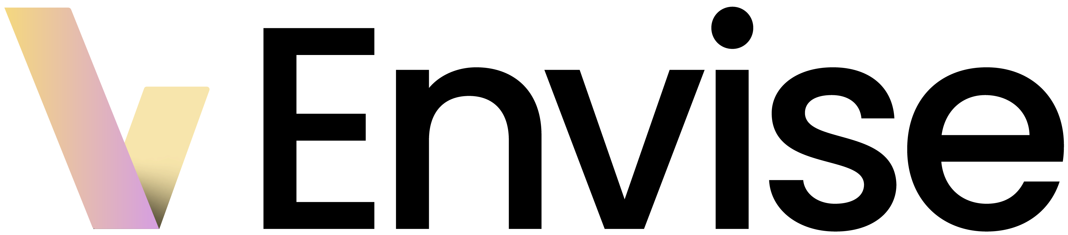 envise logo