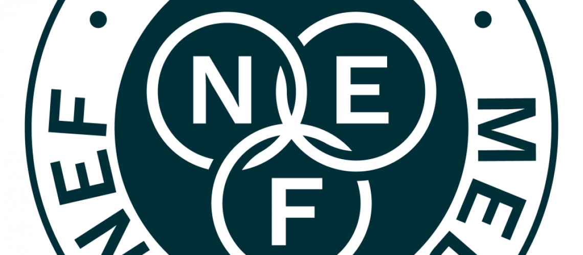 Logo MNEF